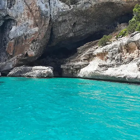 Casa Koa *
